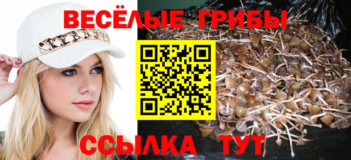 Псилоцибиновые грибы ЛСД Самара
