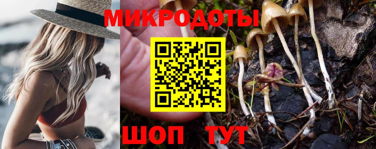 Самара  Псилоцибиновые грибы мицелий  Вход с VPN 